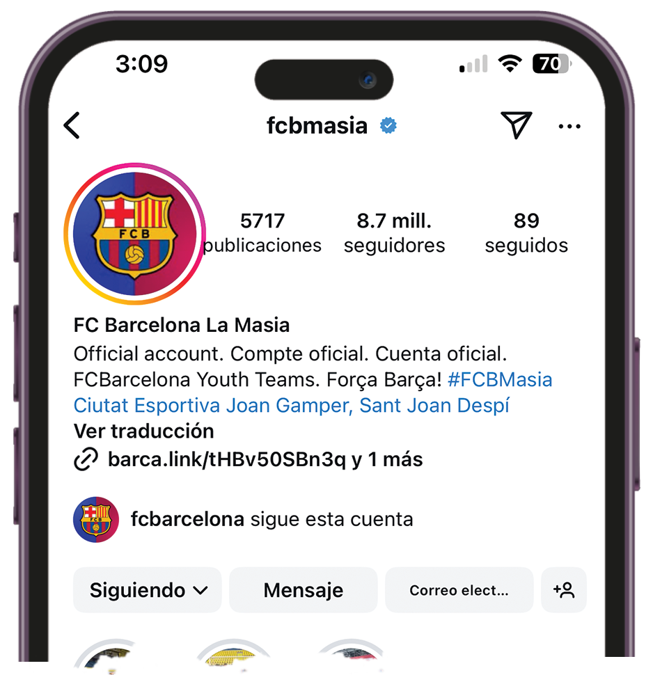 Ver Perfil Instagram