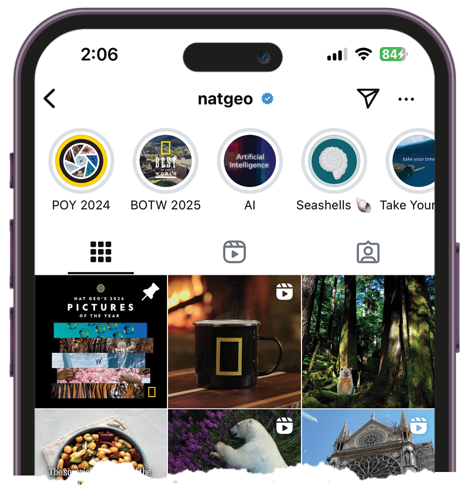 Ver Publicações Instagram