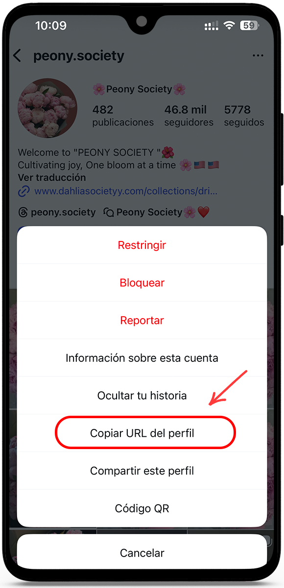 Copiar la URL del perfil