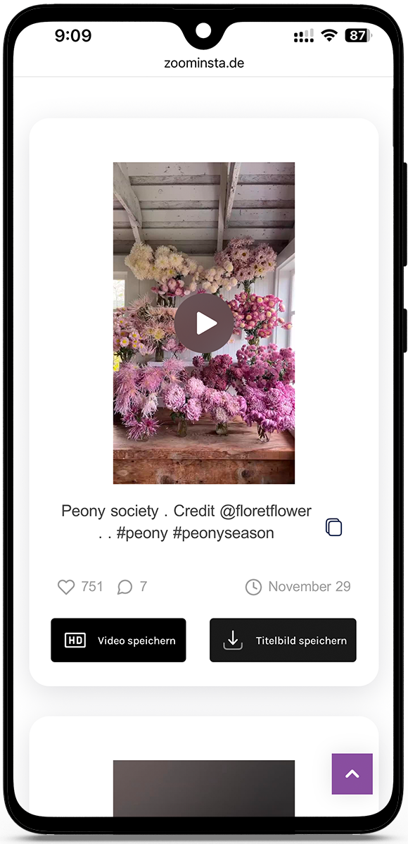 Instagram-Reels ansehen