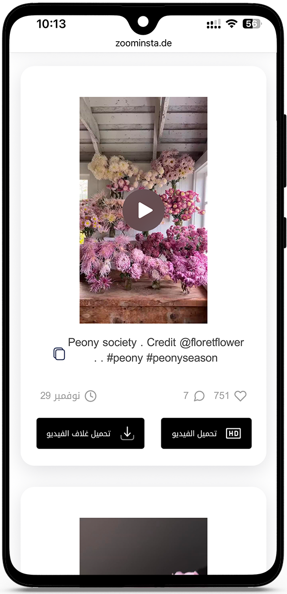 مشاهدة ريلز انستقرام