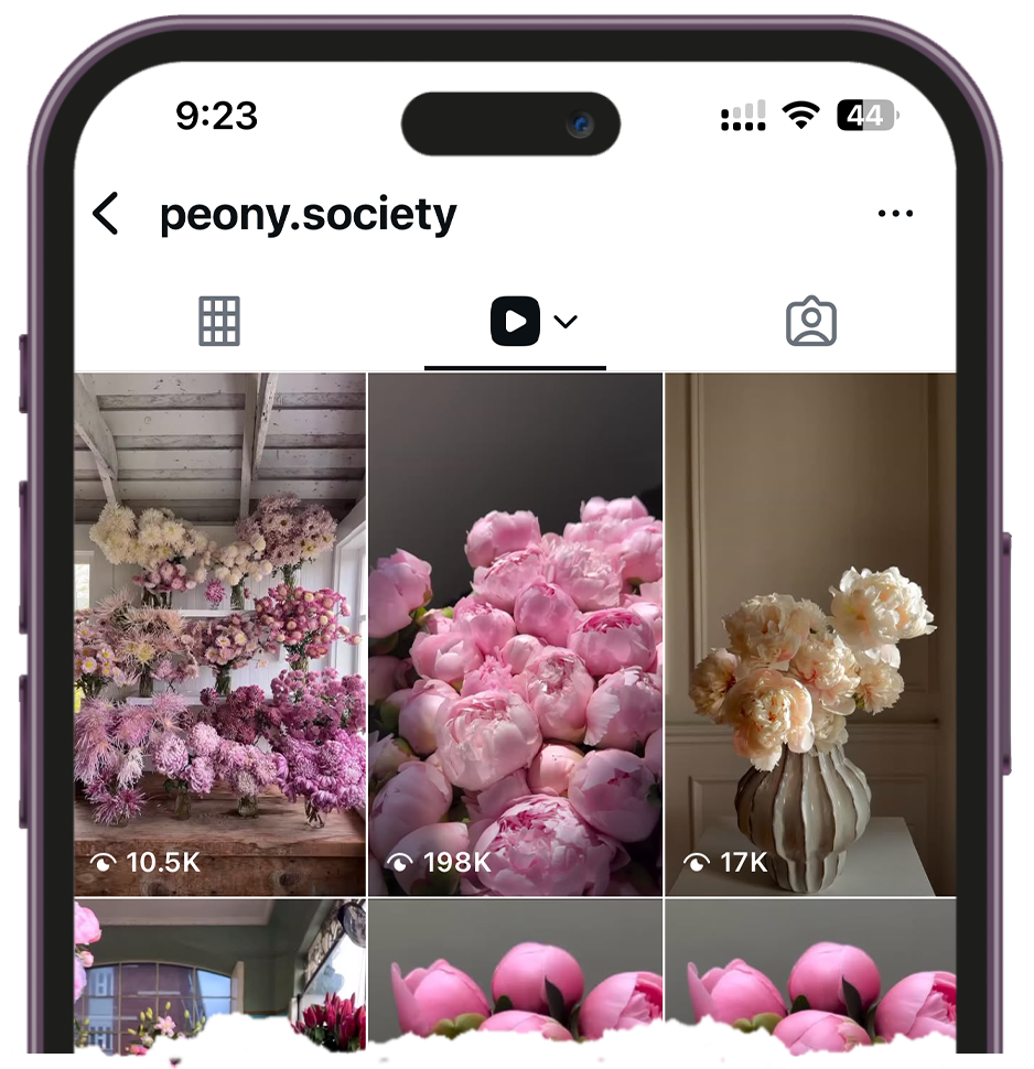 instagram reels viewer