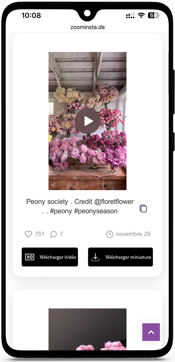 Voir les Reels Instagram