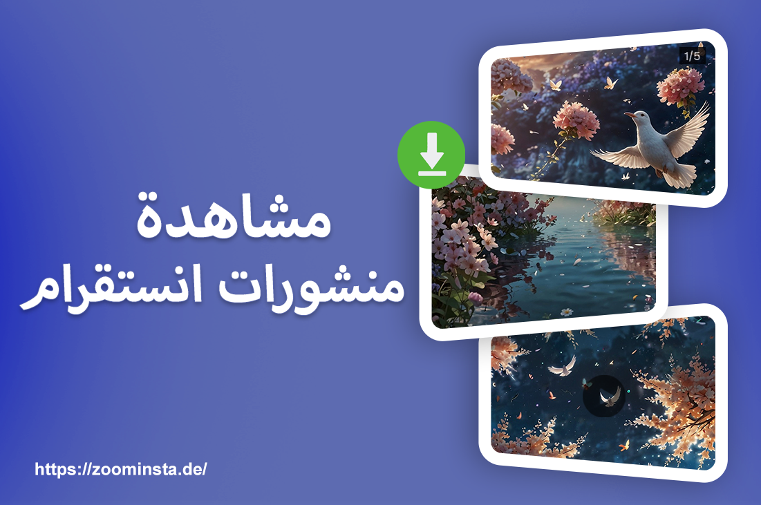 Instagram Post Viewer