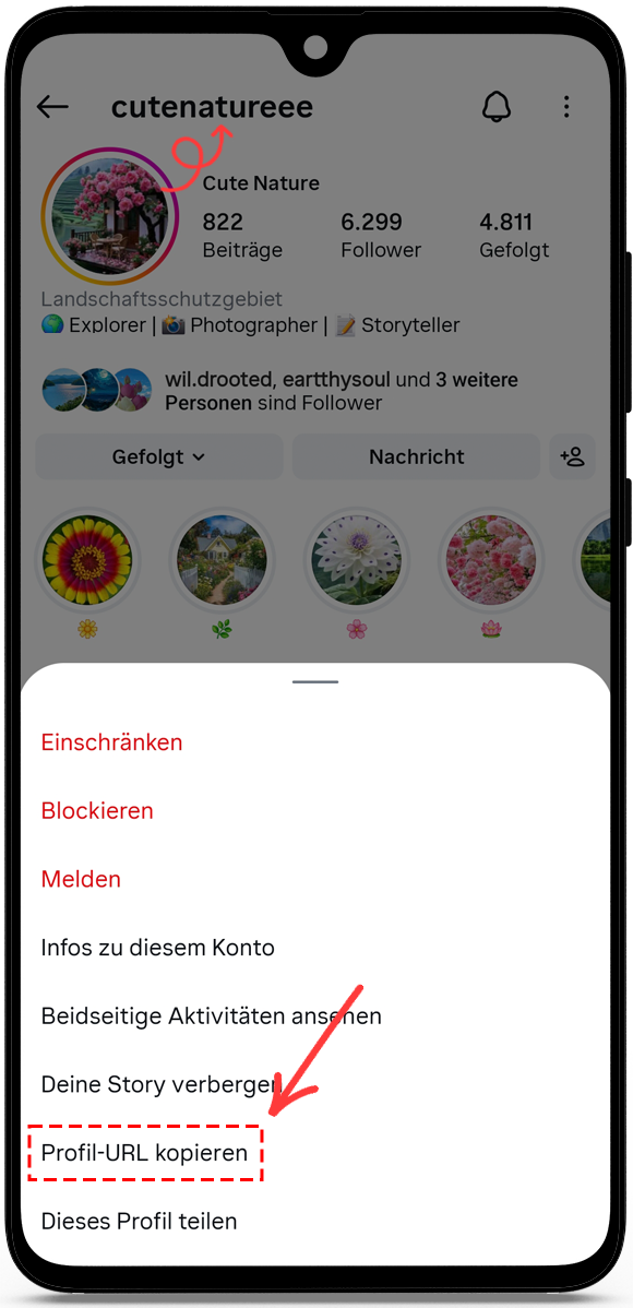Profil-URL oder Benutzernamen kopieren