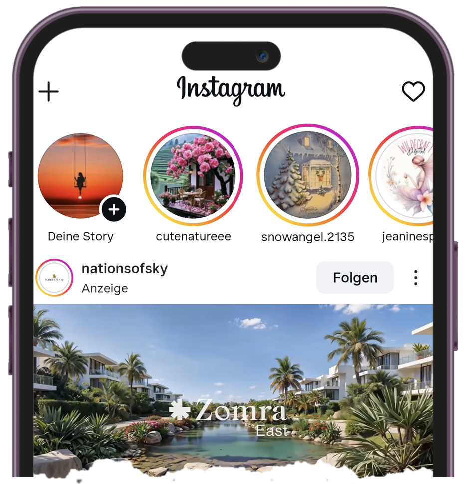 insta story viewer