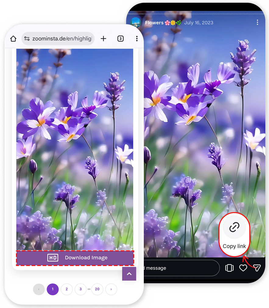 Instagram Highlight Viewer 