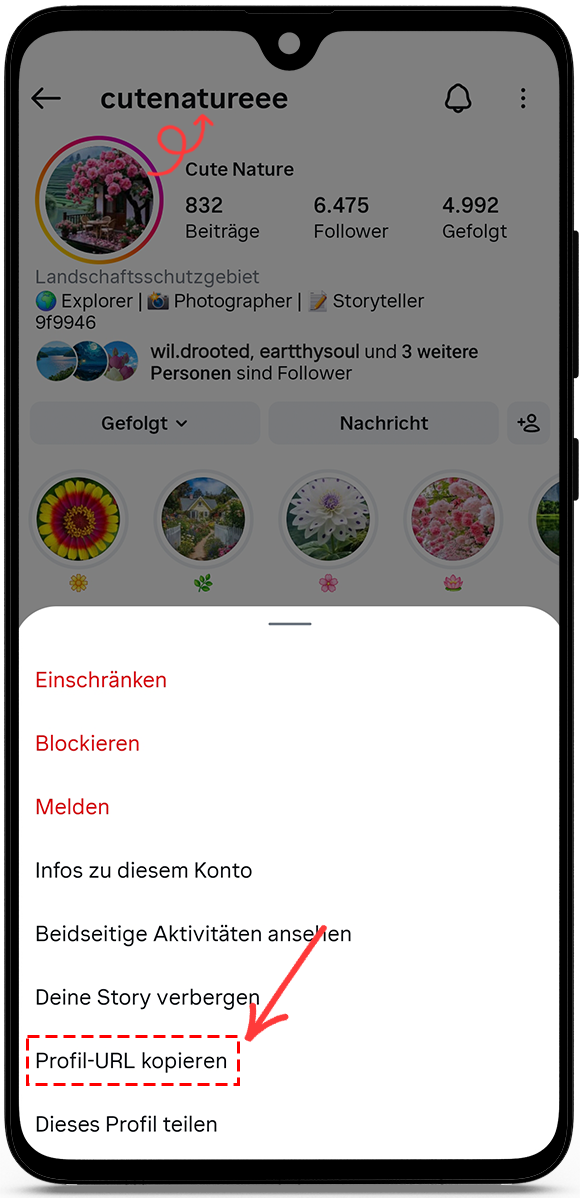 Profil-URL oder Benutzernamen kopieren