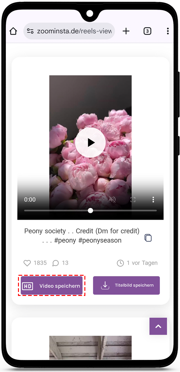 Instagram-Reels ansehen