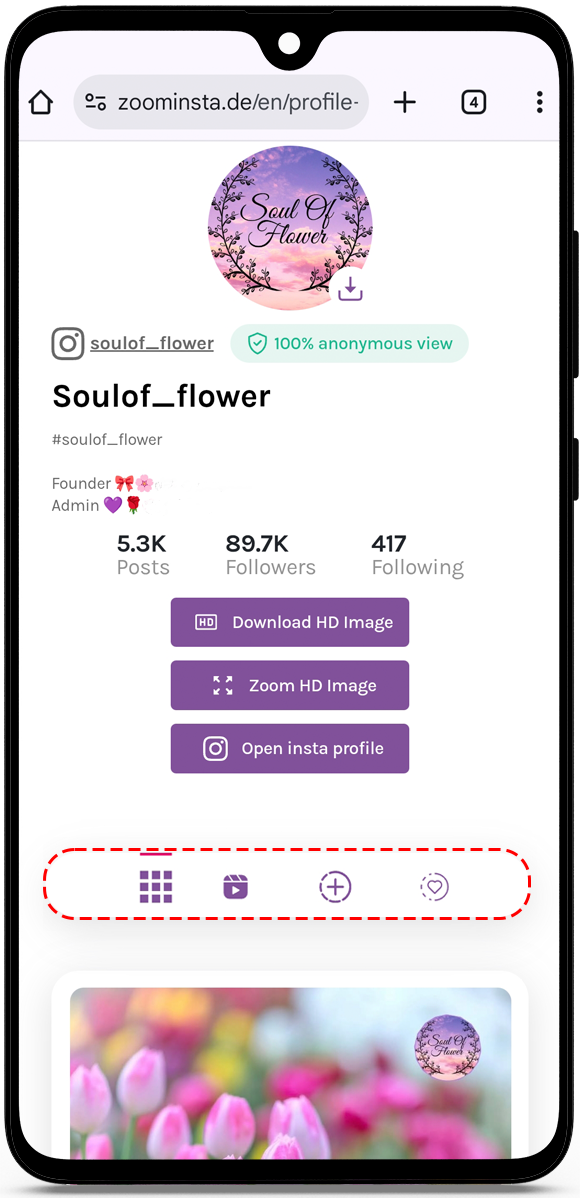 view instagram profile anonymously