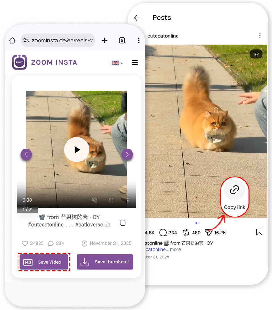 viwe instagram video with link