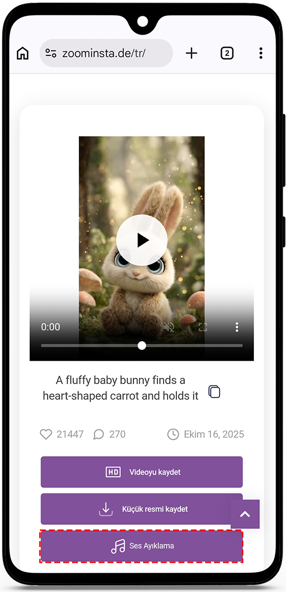 Extract Audio from Instagram Reels