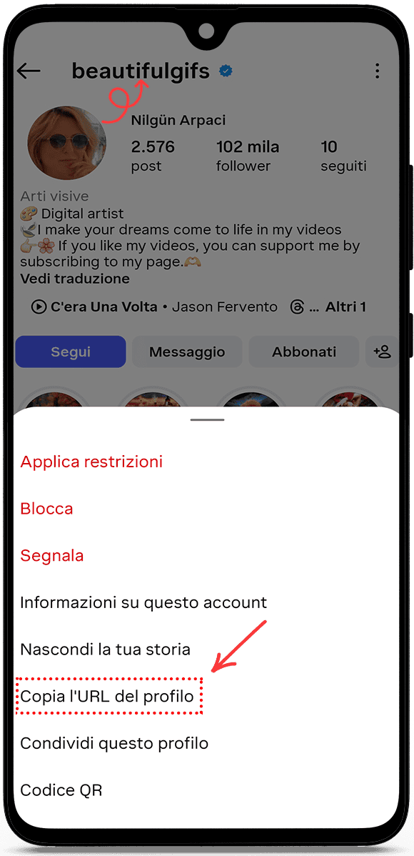 copia l'URL del profilo o il nome utente
