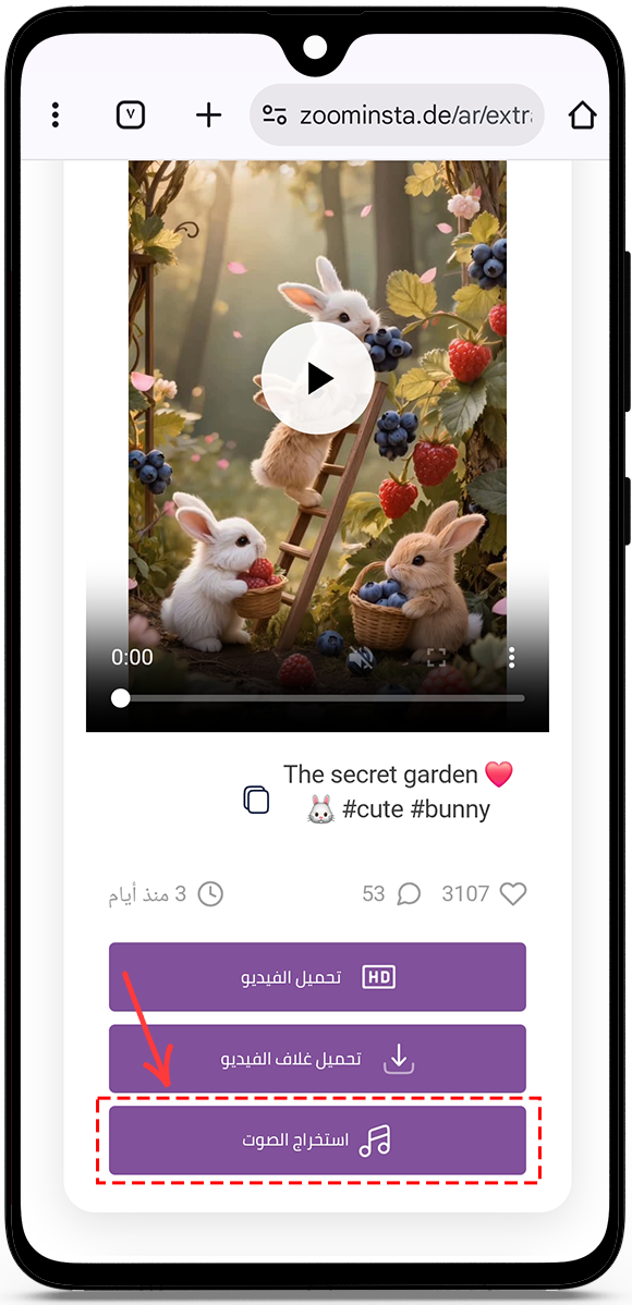 Extract Audio from Instagram Reels