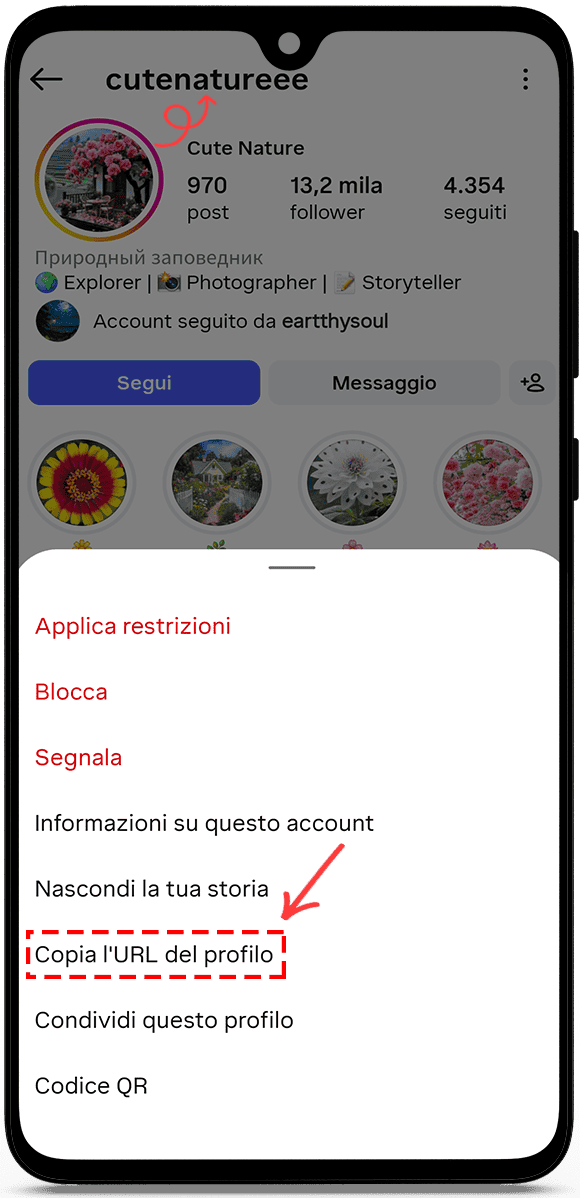 Copia l’URL del profilo oppure il nome utente.