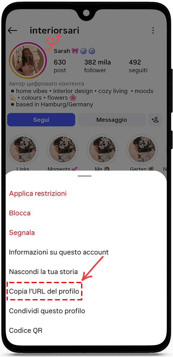 copia l'URL del profilo o il nome utente
