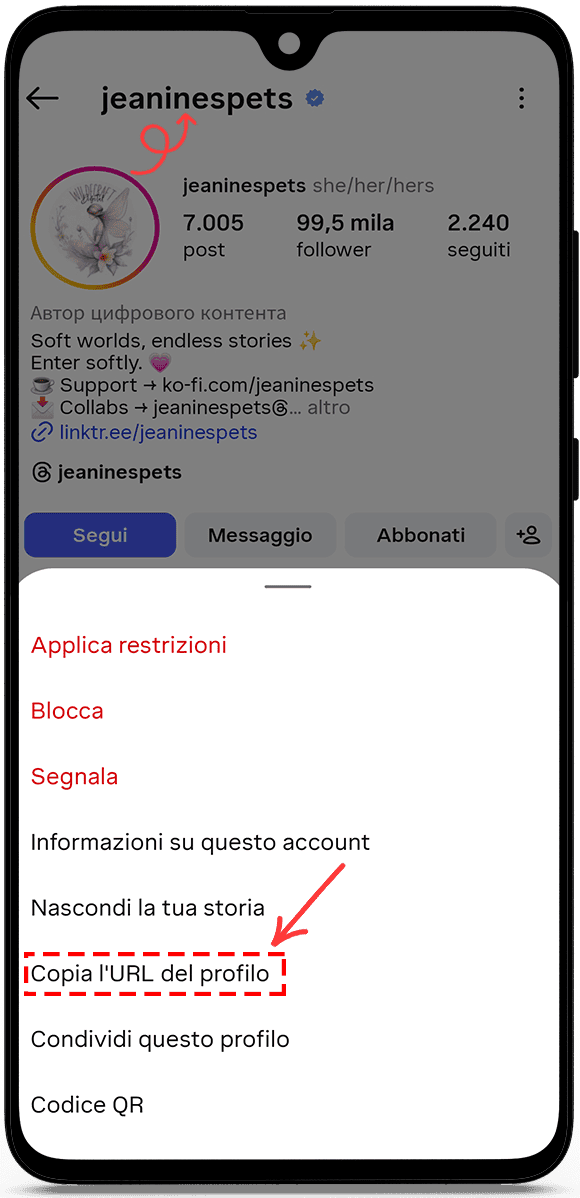 copia l'URL del profilo o il nome utente