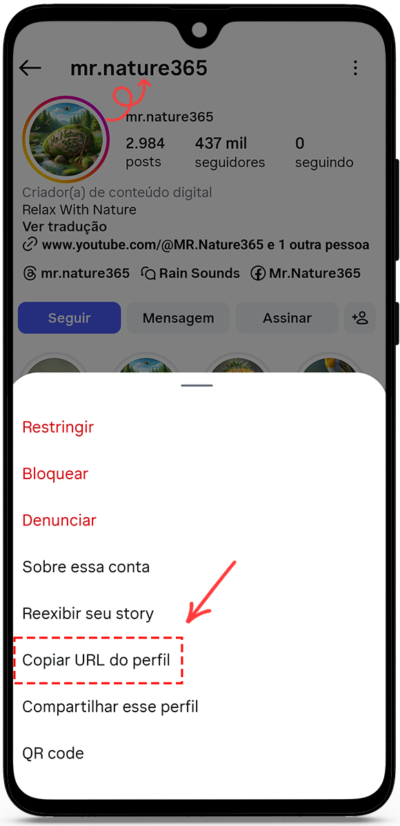 copy the profile URL or username