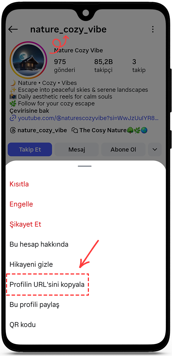 Profil URL'sini veya kullanıcı adını kopyalayın.