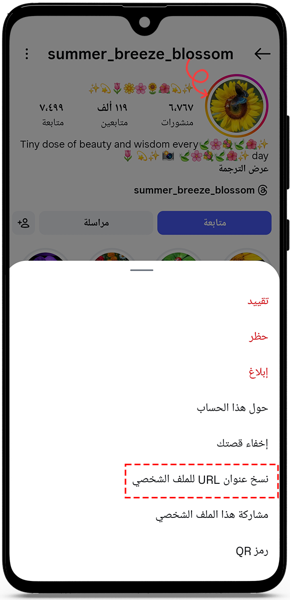 copy the profile URL or username