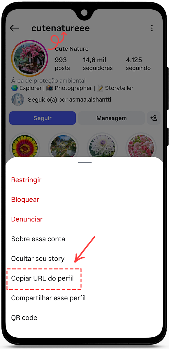 copy the profile URL or username