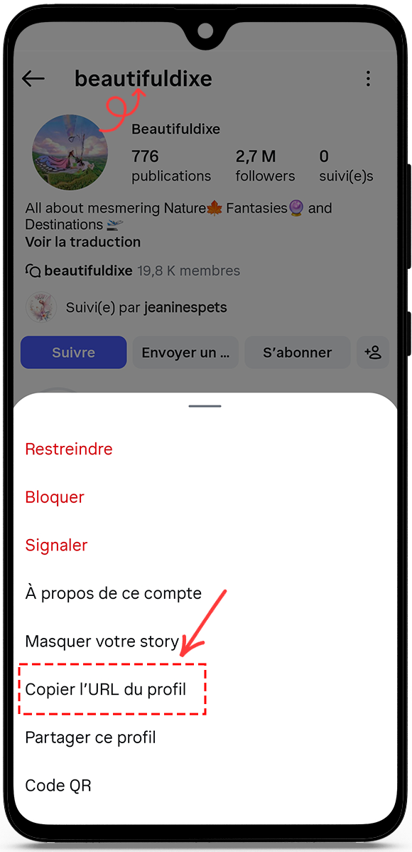 copy the profile URL or username
