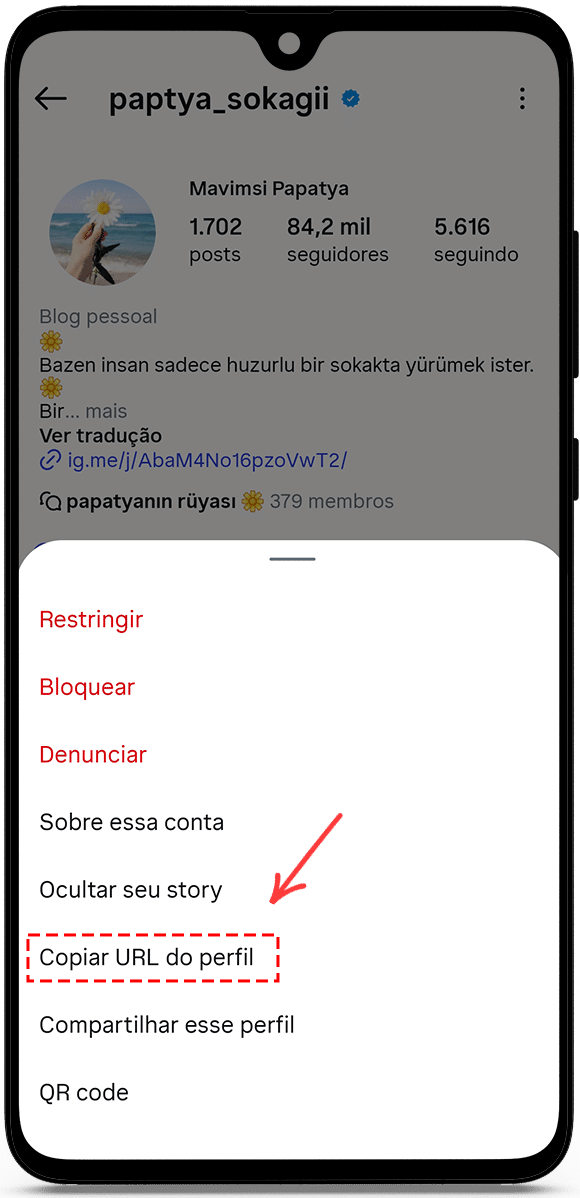 Copiar URL do perfil