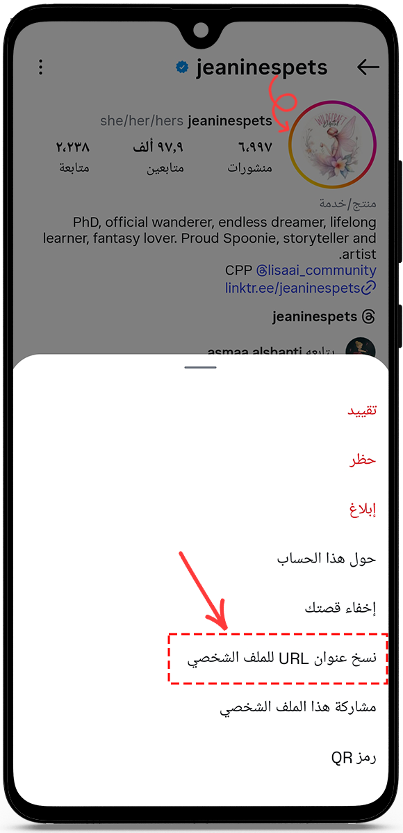 copy the profile URL or username