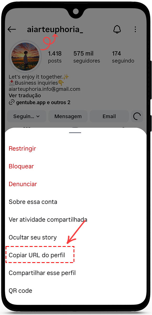 copy the profile URL or username