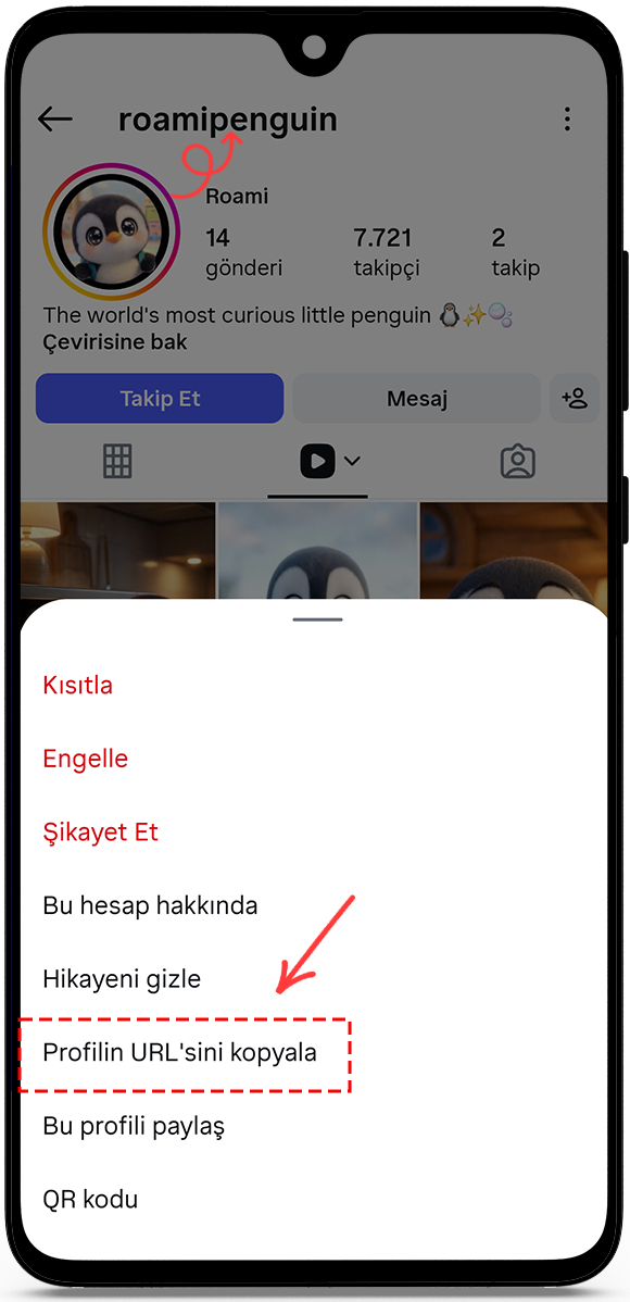 copy the profile URL or username