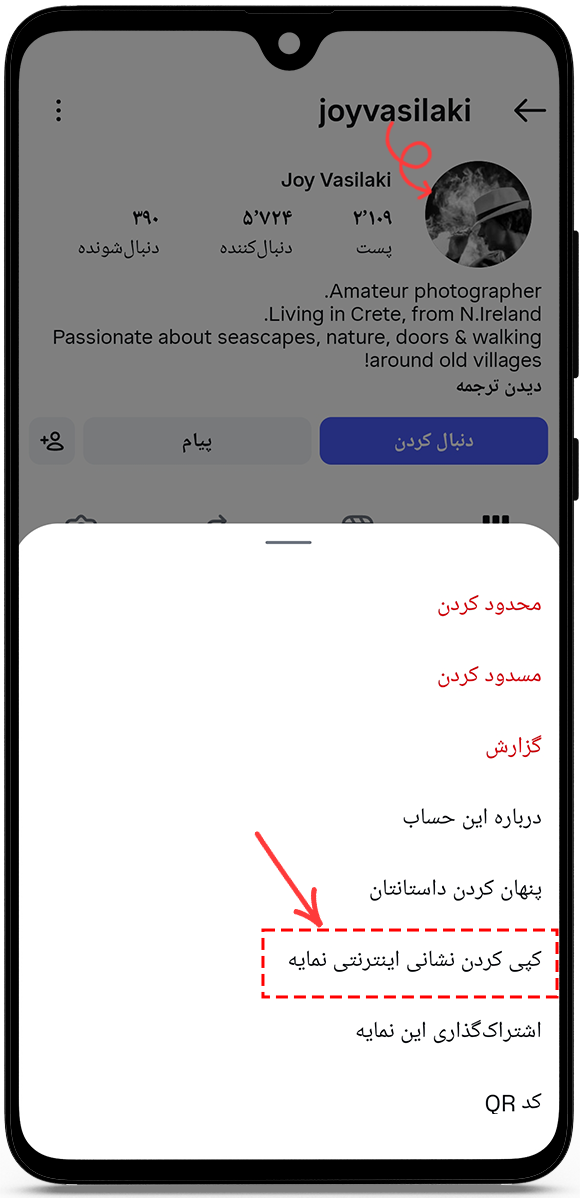 آدرس اینترنتی یا نام کاربری پروفایل را کپی کنید