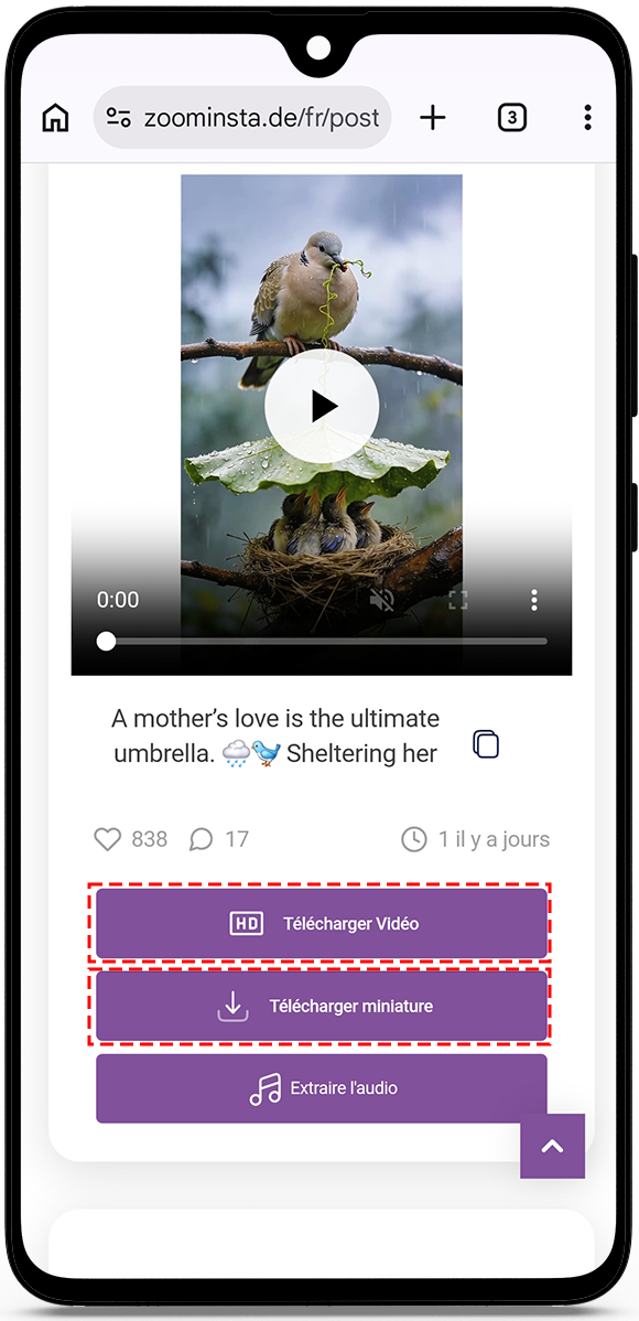 view instagram posts anonymously