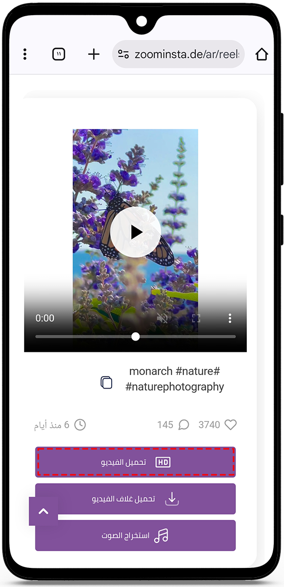 مشاهدة ريلز انستقرام