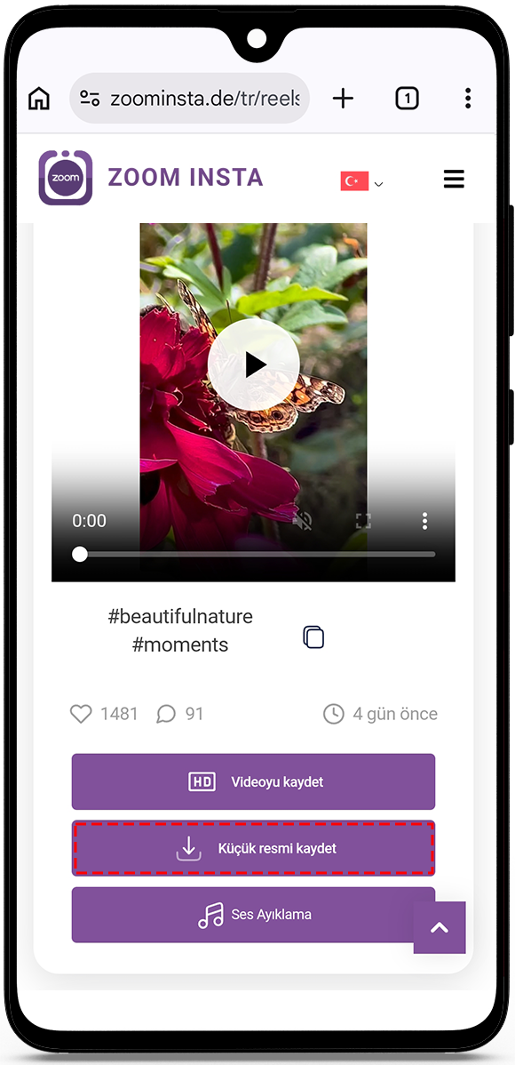 view instagram reels