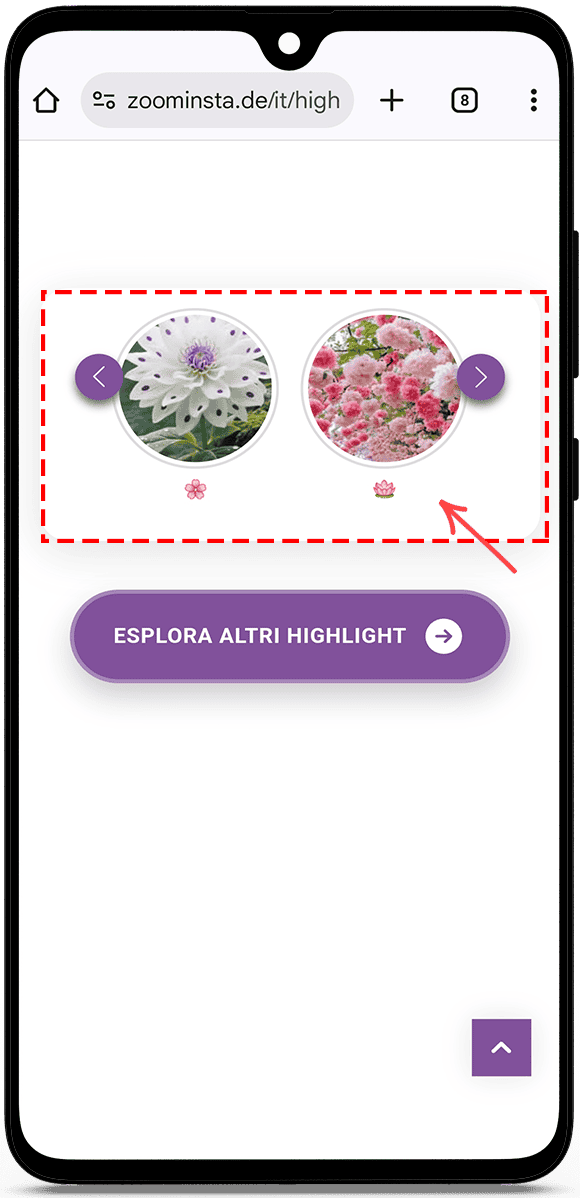 Visualizzatore di highlight Instagram senza account