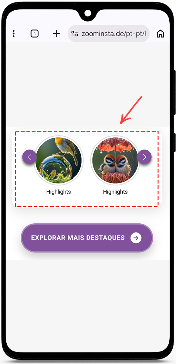 instagram highlights viewer without account