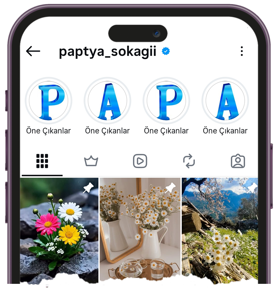 instagram post viewer