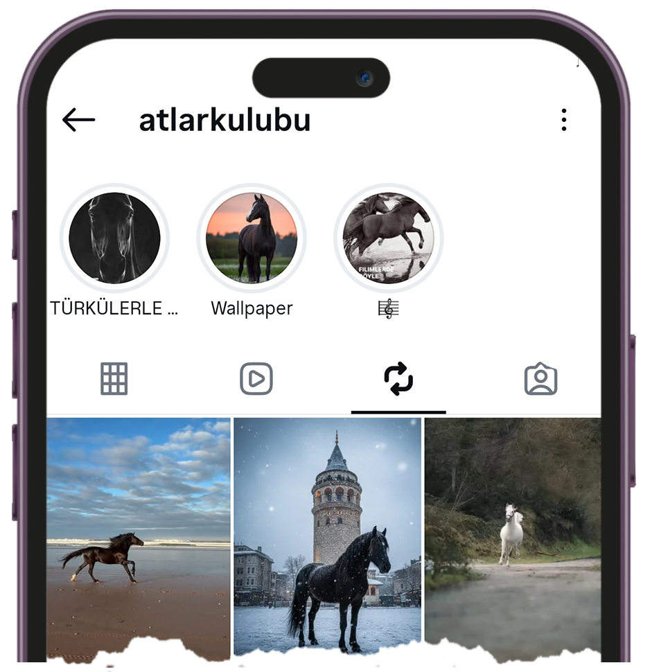 Instagram öne çıkanlar görüntüleyici
