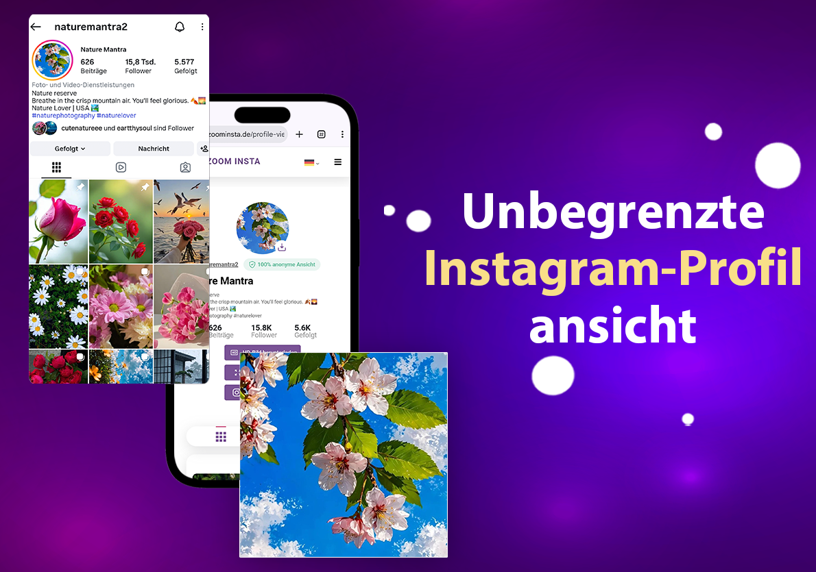 Instagram profil viewer
