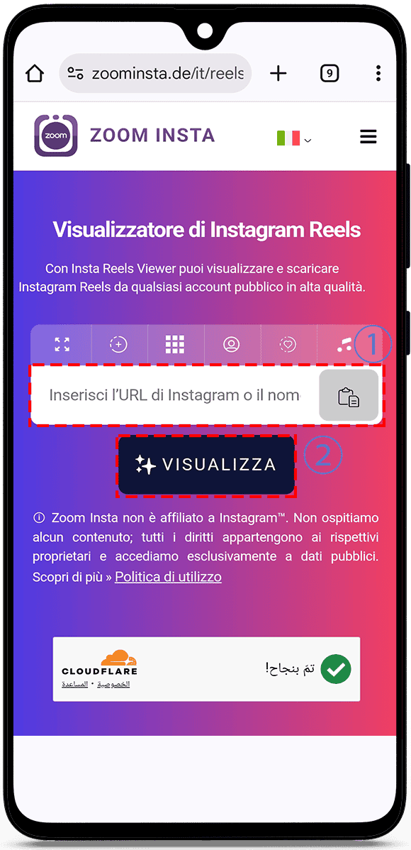 visualizzatore di rulli di Instagram