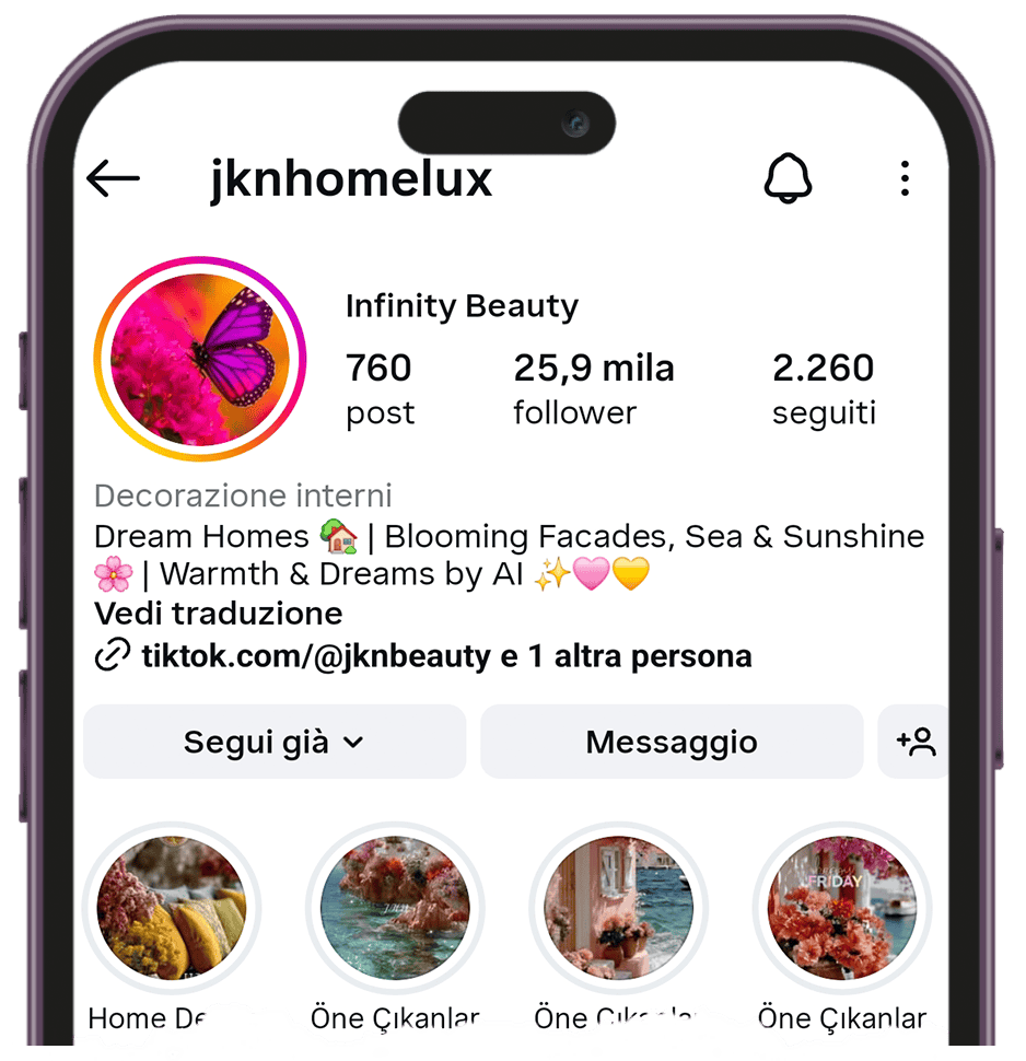 instagram profile viewer