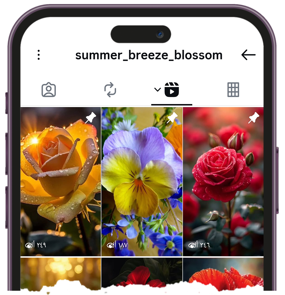 مشاهدة ريلز انستقرام