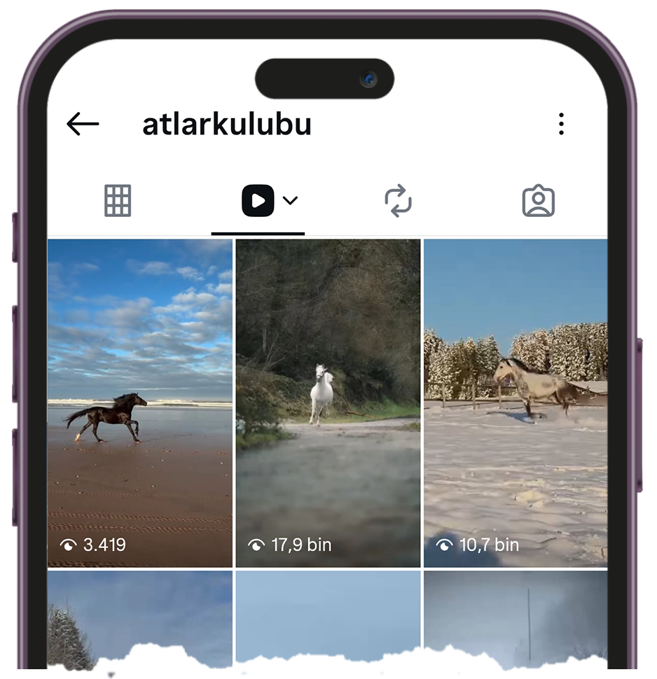 Instagram Reels görüntüleyici