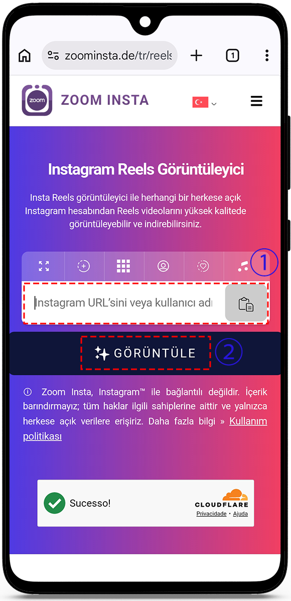 Instagram Reels görüntüleyici