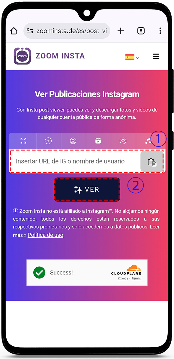 Visor de Publicaciones de Instagram