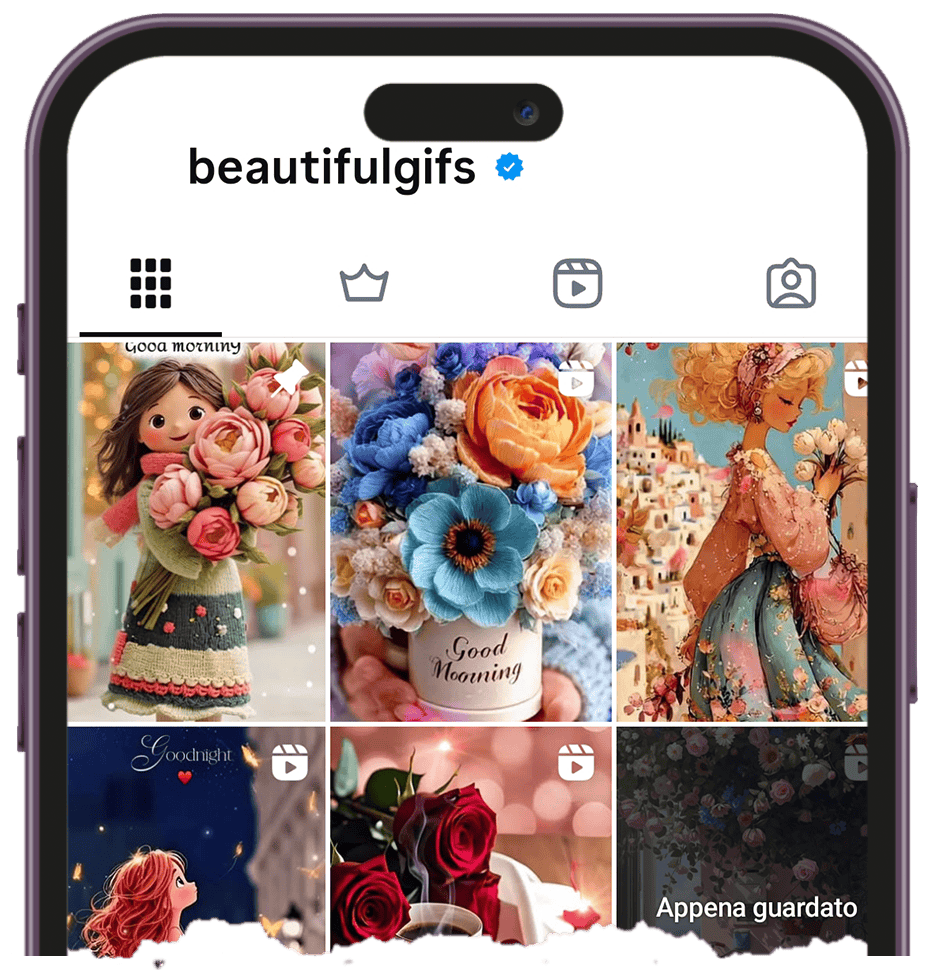Visualizzatore di post di Instagram