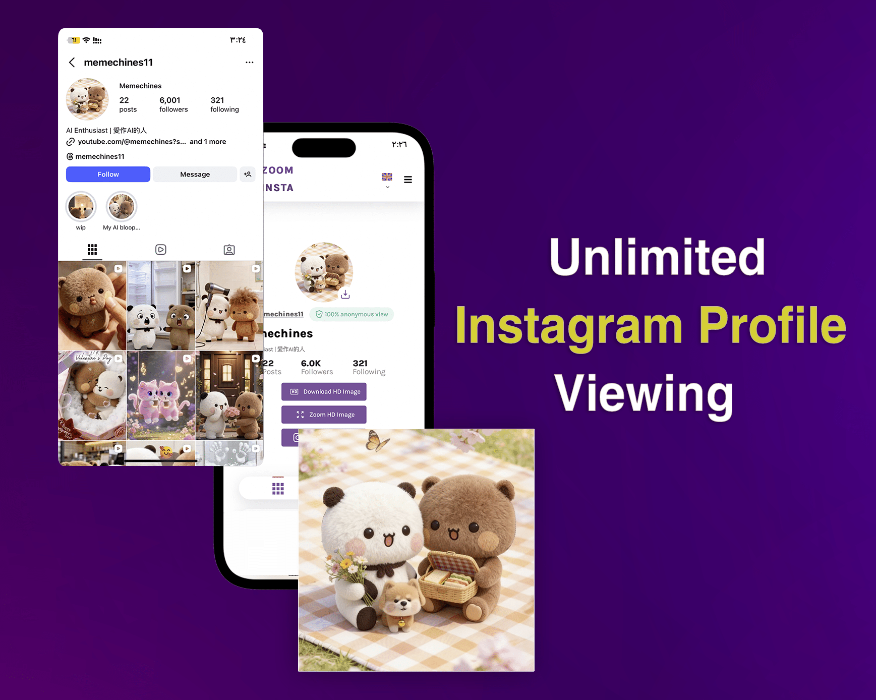 Instagram profile Viewer