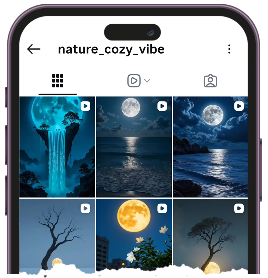 Instagram gönderi görüntüleyici