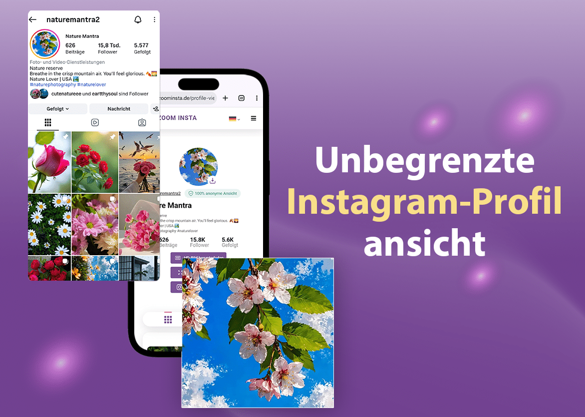 Instagram profil viewer