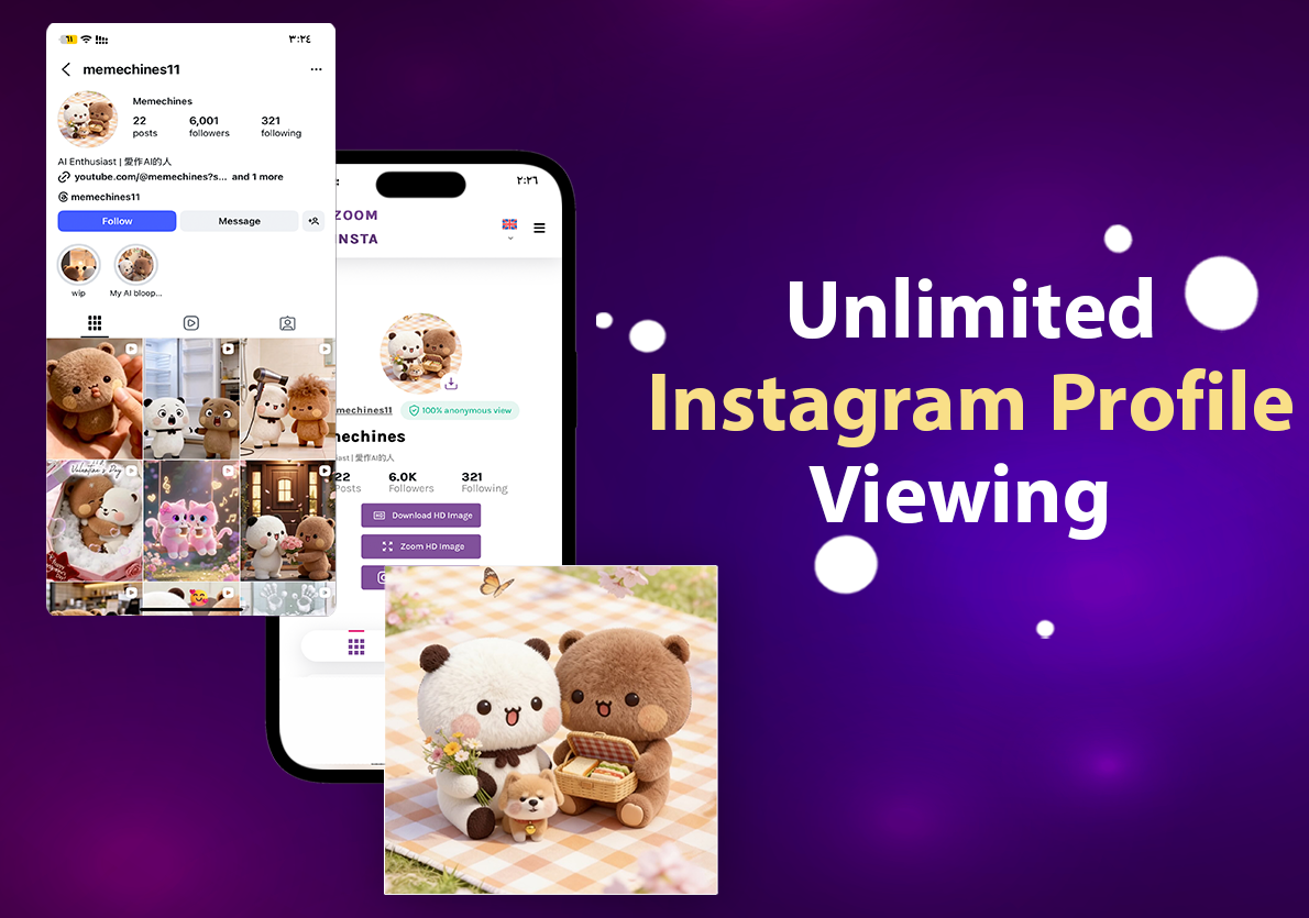 Instagram profile Viewer
